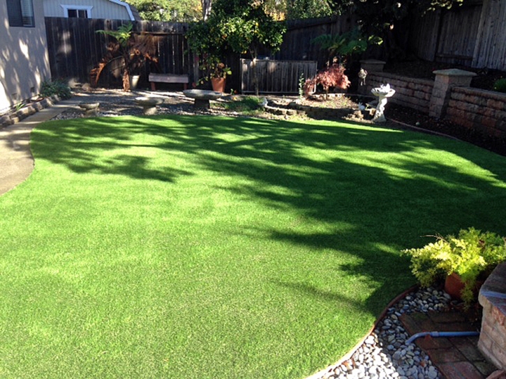 Synthetic Turf Supplier Lindale, Georgia Paver Patio, Backyard Landscape Ideas