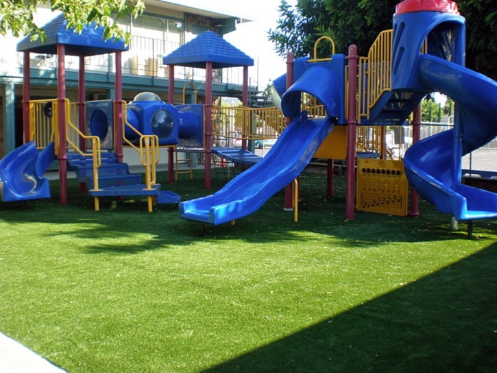 Synthetic Turf Supplier Pine Mountain, Georgia Lacrosse Playground, Commercial Landscape