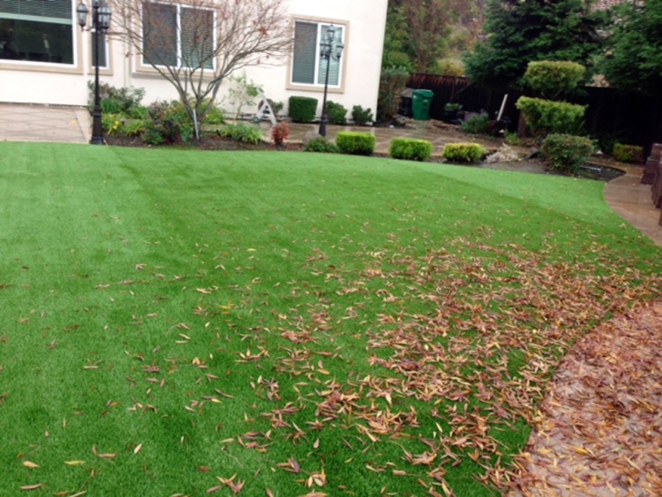 Synthetic Turf Supplier Sardis, Georgia Home And Garden, Backyard Landscape Ideas