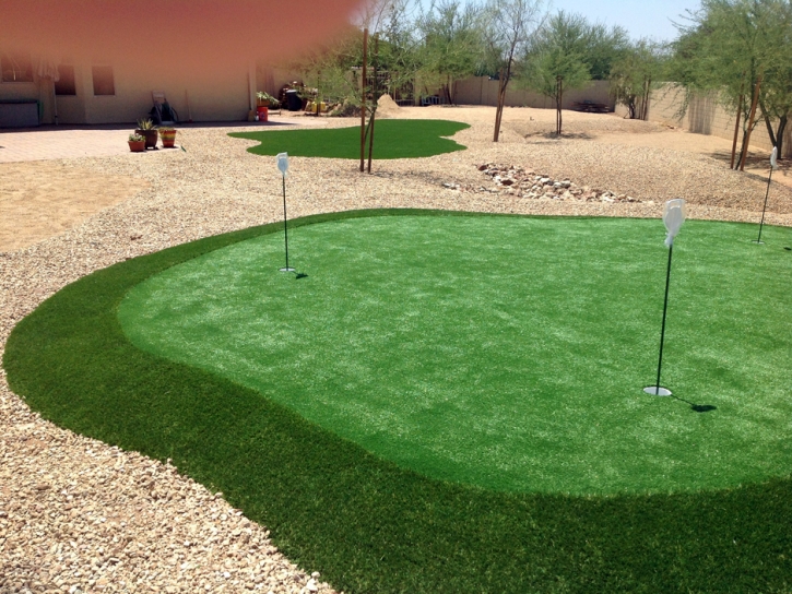 Synthetic Turf Supplier Sunnyside, Georgia Home Putting Green, Backyards