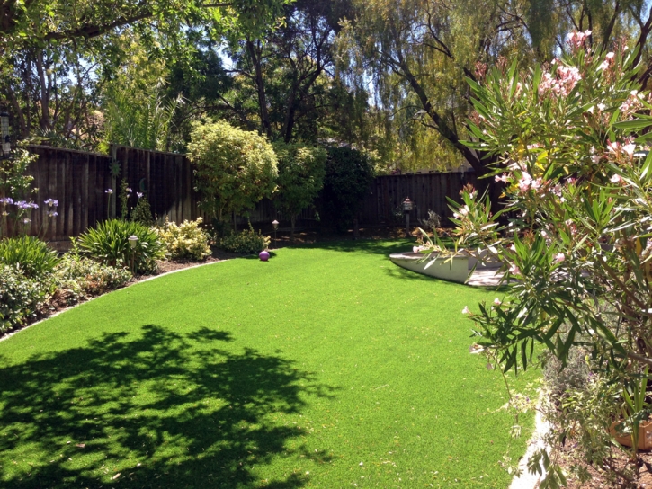 Synthetic Turf Supplier Walthourville, Georgia Paver Patio, Backyard Design