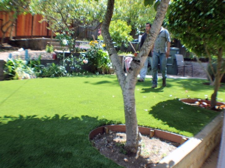 Synthetic Turf Supplier Yonah, Georgia Landscape Photos, Backyard Landscaping Ideas