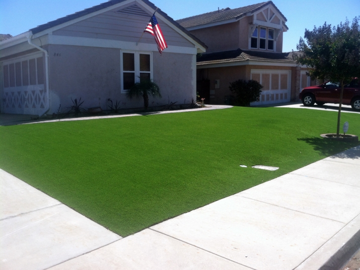 Synthetic Turf Tennille, Georgia Backyard Deck Ideas, Front Yard