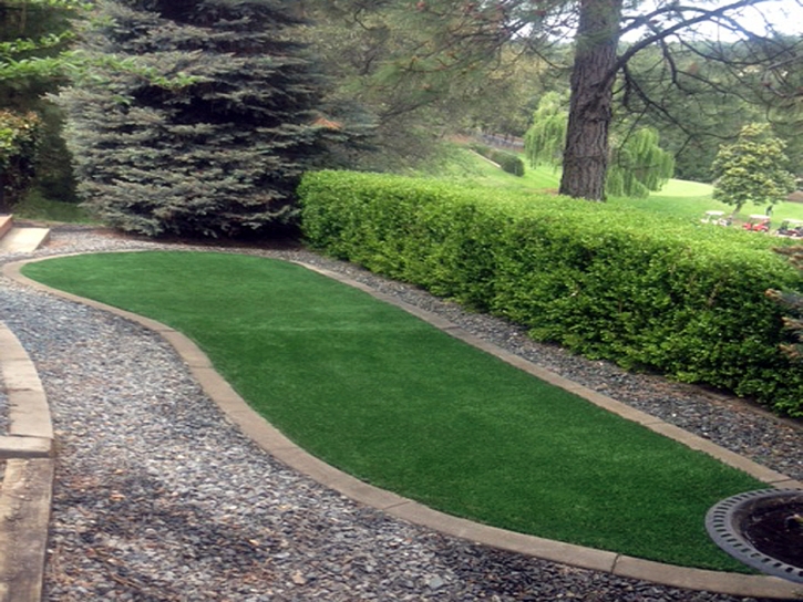 Synthetic Turf Vidalia, Georgia Lawn And Garden