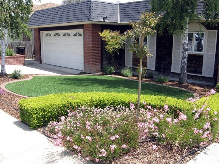 Synthetic Turf White, Georgia Landscape Design, Front Yard Design