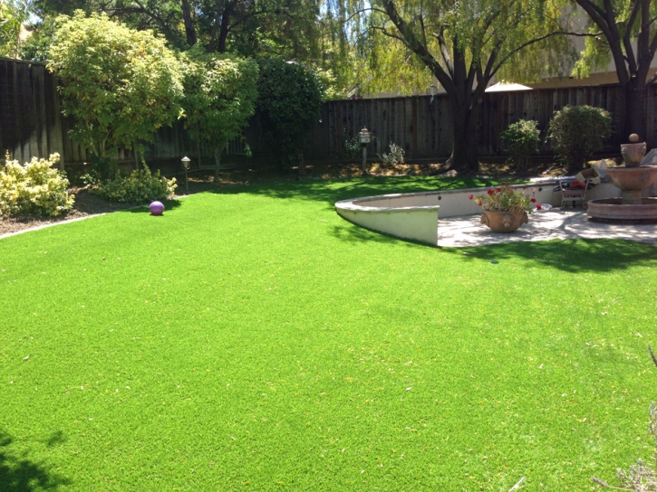 Turf Grass Allenhurst, Georgia Landscaping, Backyard Landscape Ideas