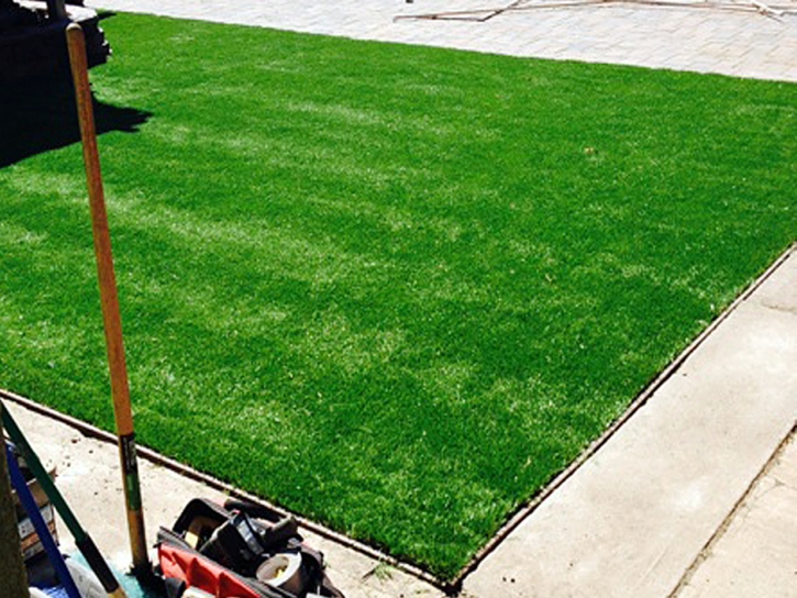 Turf Grass Byromville, Georgia Lawn And Landscape