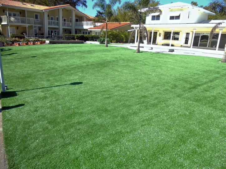 Turf Grass Nicholls, Georgia Landscape Rock, Kids Swimming Pools