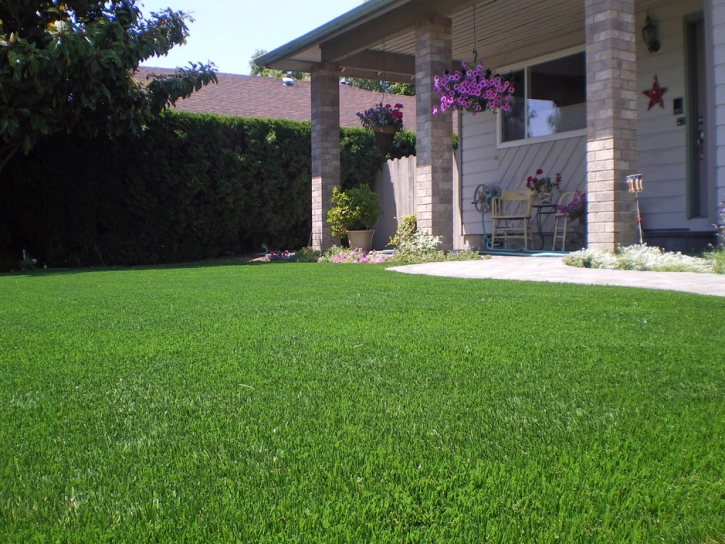 Turf Grass Phillipsburg, Georgia City Landscape, Front Yard Landscaping Ideas