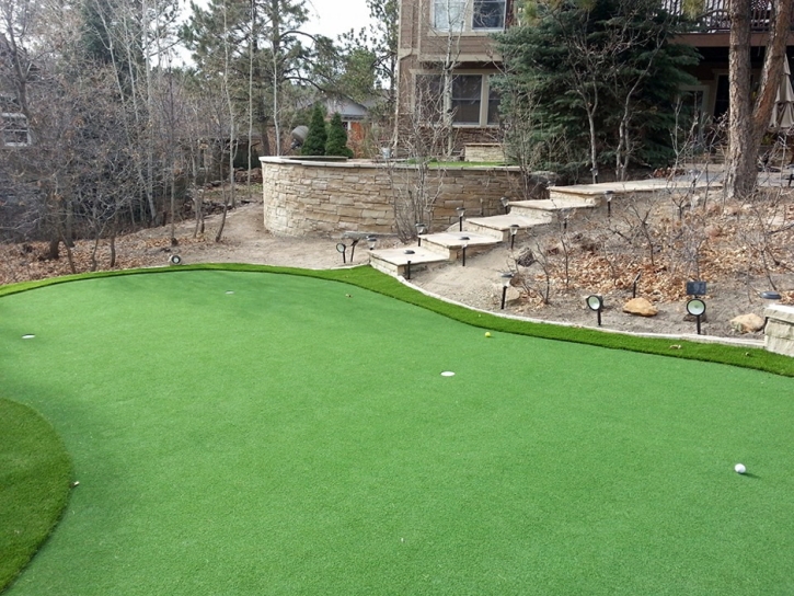 Turf Grass Senoia, Georgia Putting Green Flags, Backyard Design